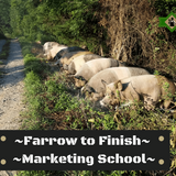 Farrow to Finish & Marketing Schools